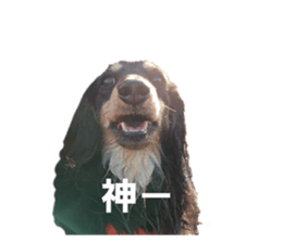 745434439