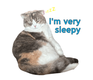 745434491