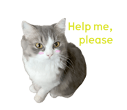 745434492