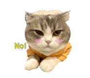 745434508