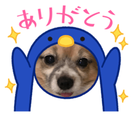 745435699