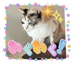 745457690