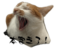 745470577