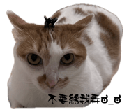 745470579