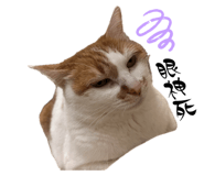 745470590