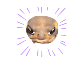 745472566
