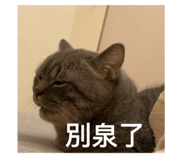 745500312