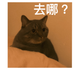745500314