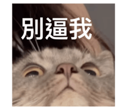 745500336