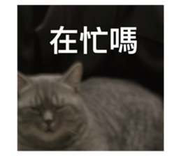 745500342