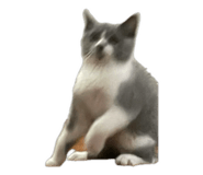 745508093