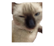 745508097