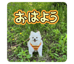 745515475