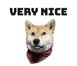 745517346