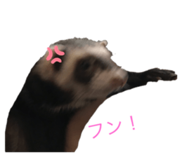 745521446