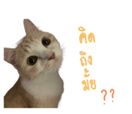 745523182