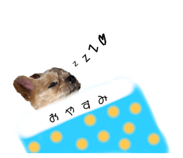 745533718