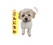 745533731