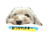 745533733