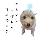 745533736