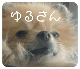 745547699