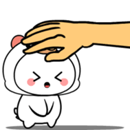 745556554
