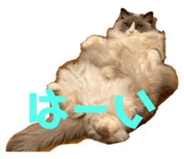 745561306