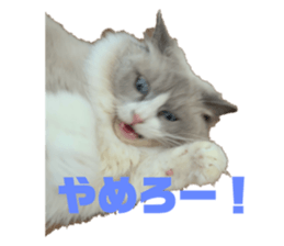 745561310
