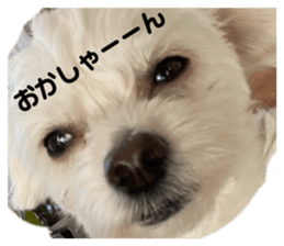745564996
