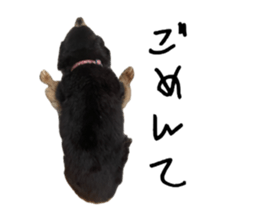 745567781