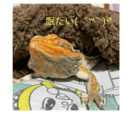 745570550