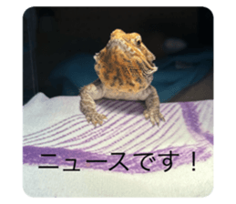 745570552