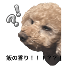 745584553