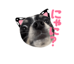 745585540