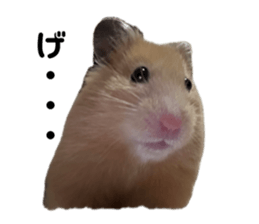 745585850