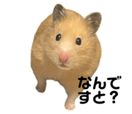 745585852