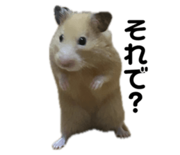 745585855