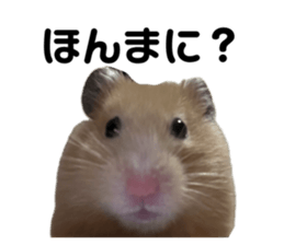 745585856