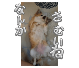 745588430