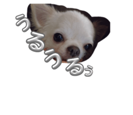 745588431