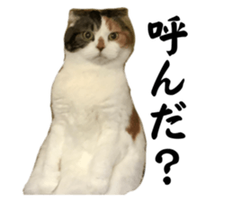 745594983