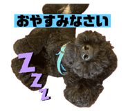 745599565