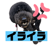 745602938