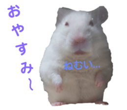 745604586