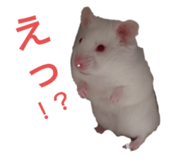 745604612