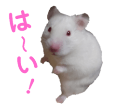 745604621
