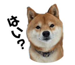 745604785