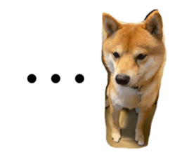 745604792