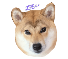 745607756