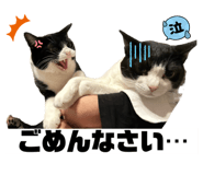 745608450